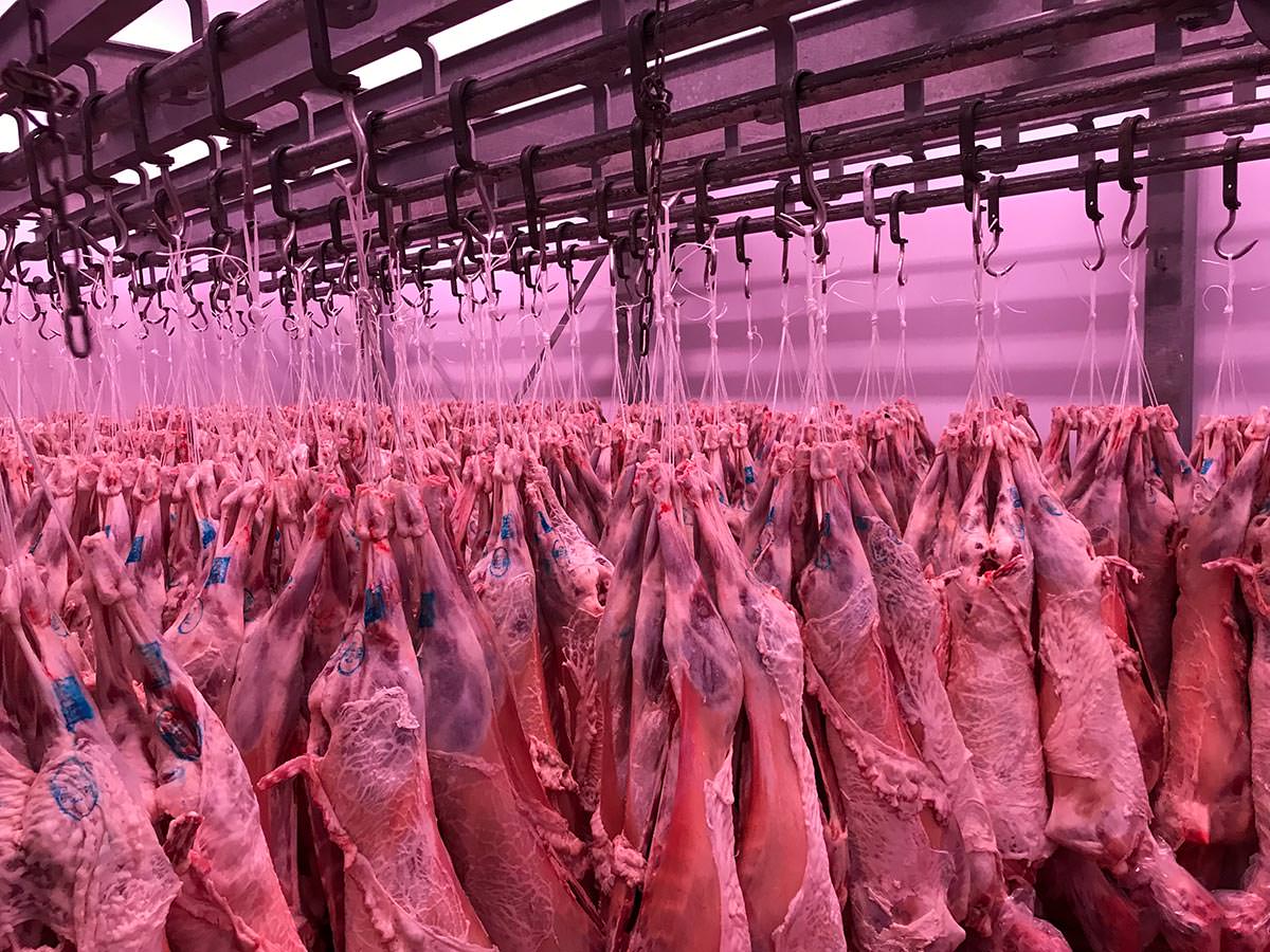 Denezis Meat - Άποψη ψυκτικών θαλάμων στις εγκαταστάσεις αποθήκευσης και συσκευασίας στο Κουτσοπόδι Άργους.