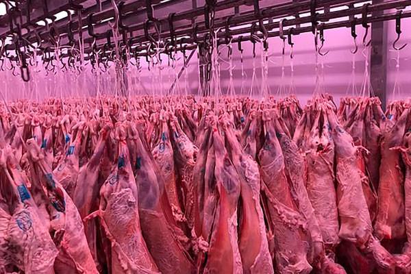 Denezis Meat - Outlook of refrigerating chambers in the storage and packaging facilities in Koutsopodi, Argos.