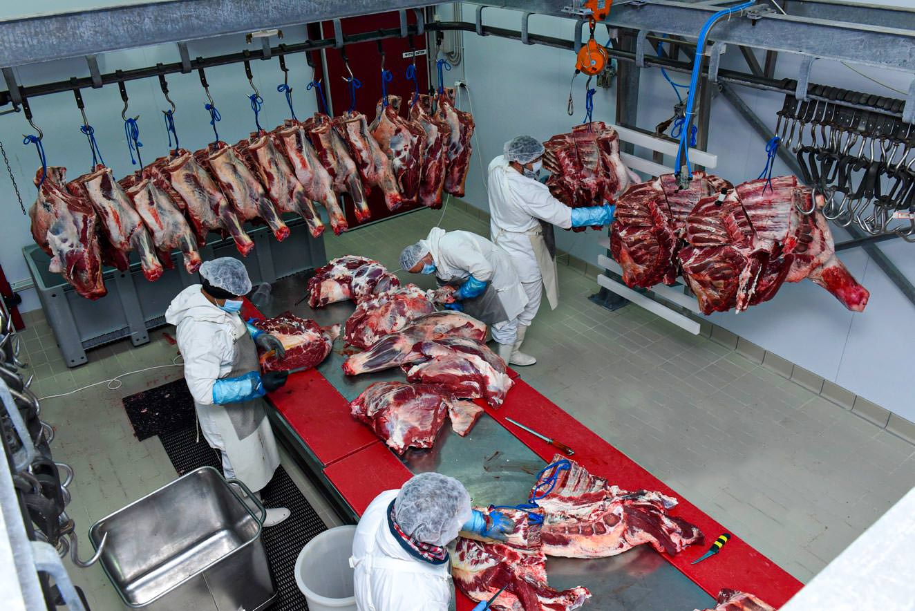 Denezis Meat - Outlook of the beef production - deboning area, at the storage and packaging facilities in Koutsopodi, Argos.