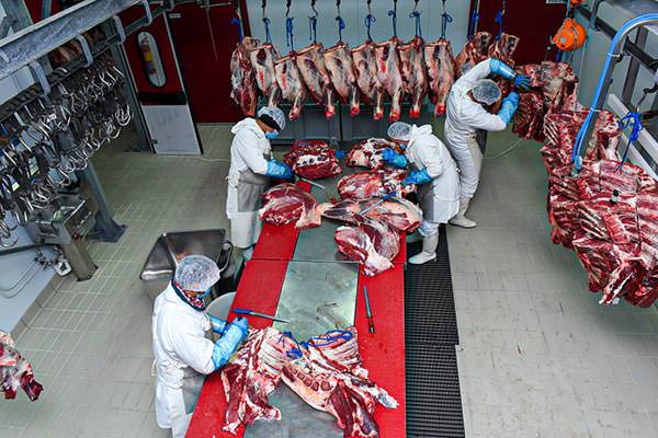 Denezis Meat - Outlook of the beef production - deboning area, at the storage and packaging facilities in Koutsopodi, Argos.