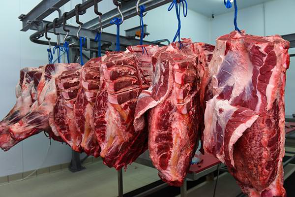 Denezis Meat - Reception and shipping of pieces