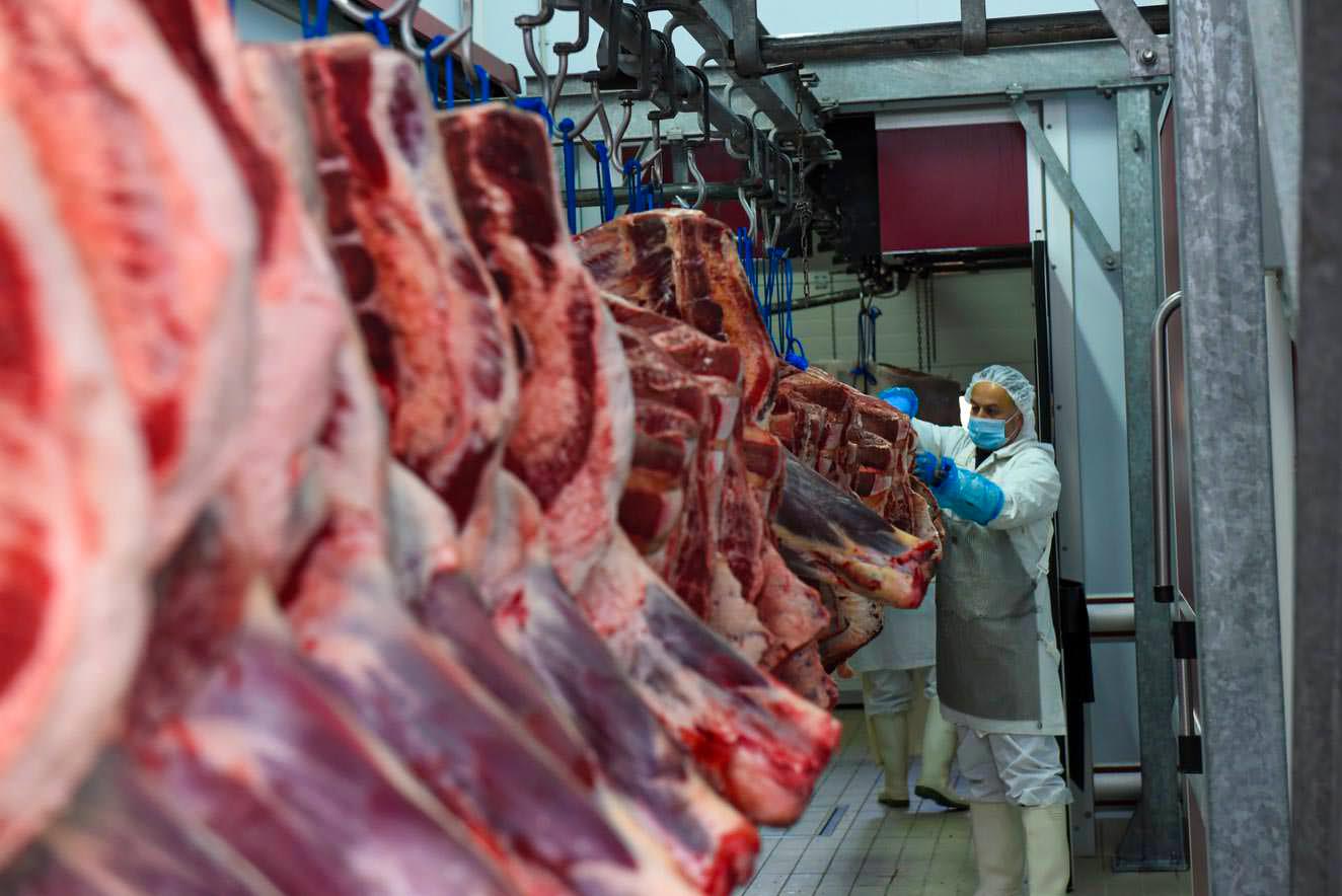 Denezis Meat - Χώρος παραλαβής και αποστολής προϊόντων.