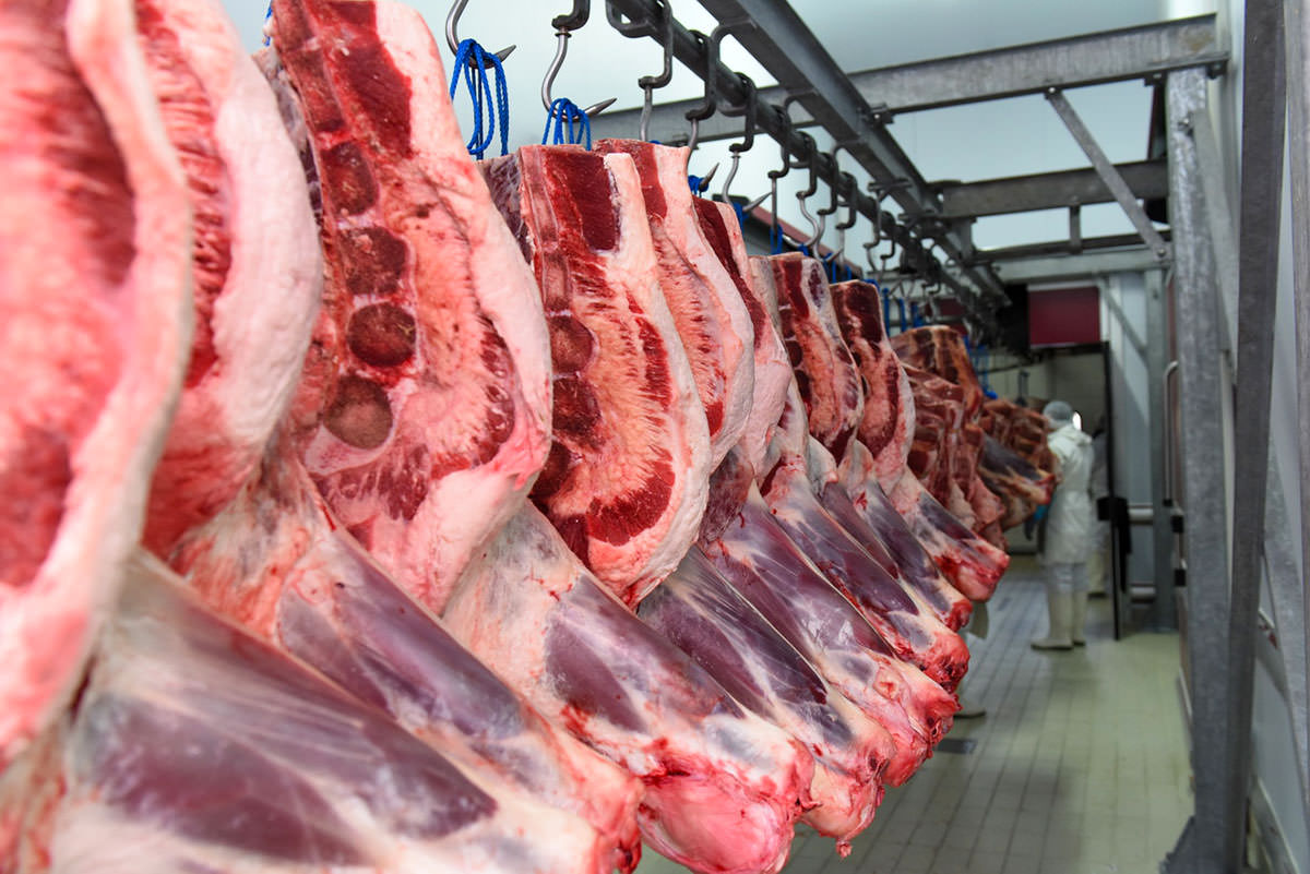 Denezis Meat - Χώρος παραλαβής και αποστολής προϊόντων.