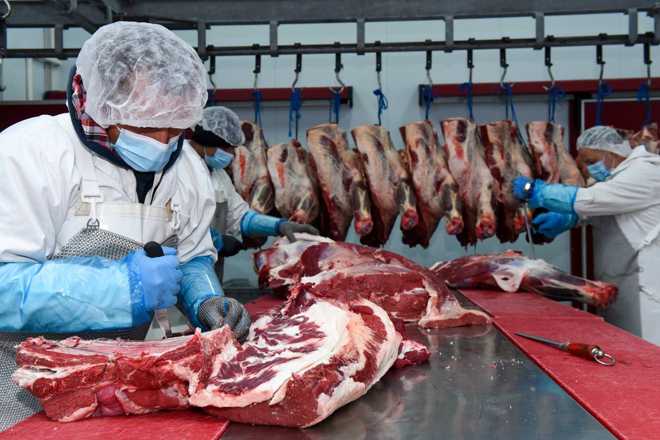 Denezis Meat - Διαδικασία αποστέωσης βόειου κρέατος, στις εγκαταστάσεις αποθήκευσης και συσκευασίας στο Κουτσοπόδι Άργους.