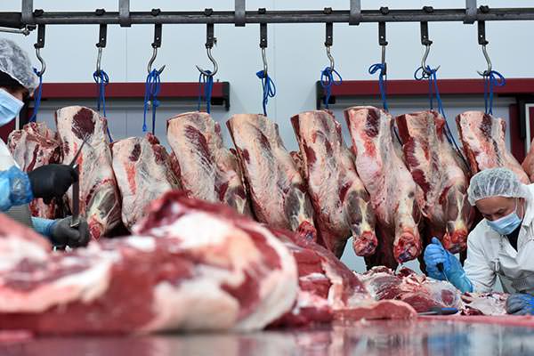 Denezis Meat - Beef deboning process, at the storage and packaging facilities in Koutsopodi, Argos.