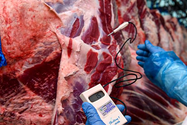 Denezis Meat - Quality assurance procedure, temperature control upon reception