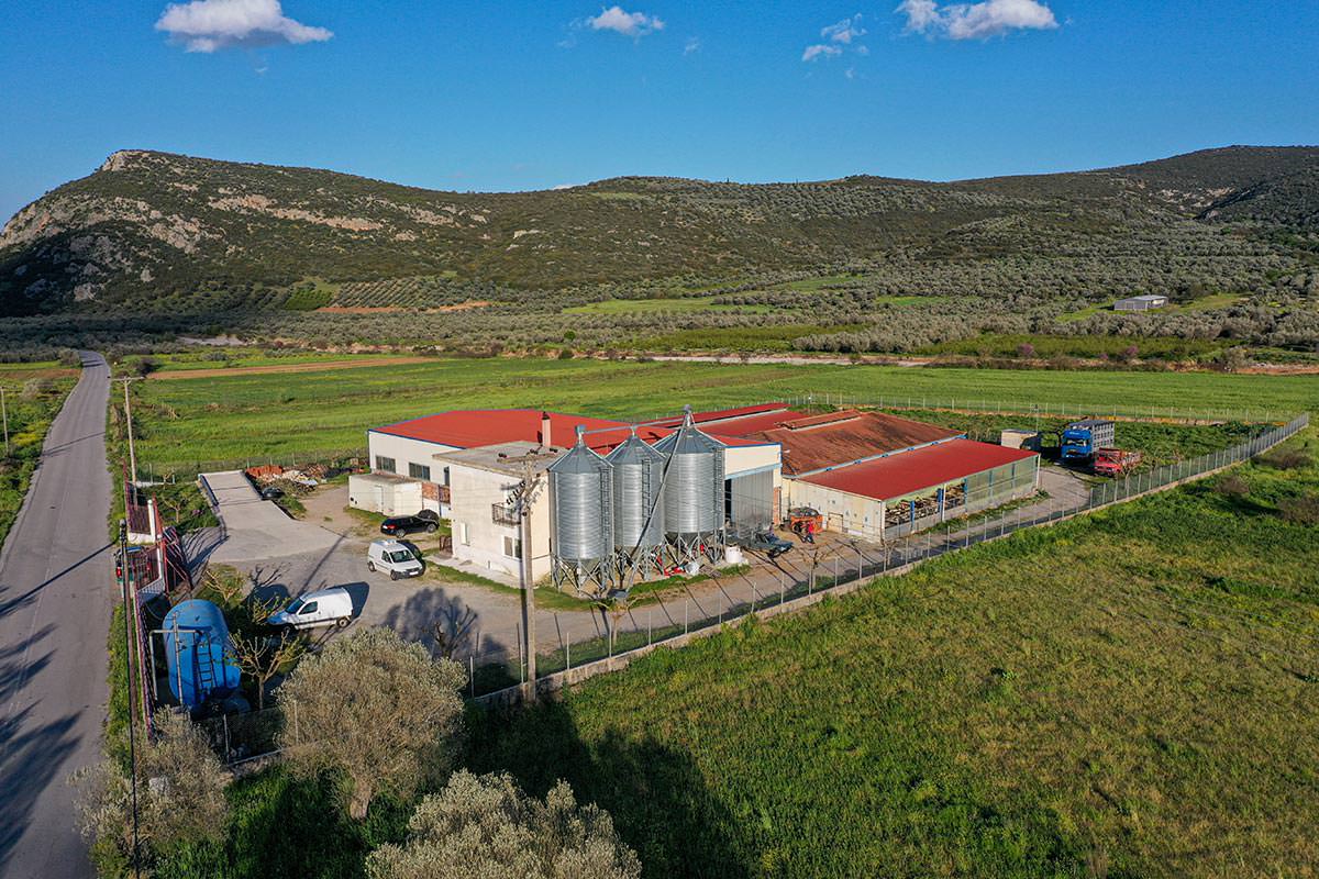 Denezis Meat - Πανοραμική άποψη των ιδιόκτητων σταβλικών εγκαταστάσεων στη Λυρκεία Άργους
