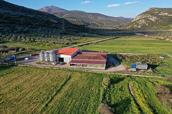 Denezis Meat - Panoramic view of the private barn facilities in Lyrkeia, Argos