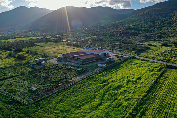 Denezis Meat - Panoramic view of the private barn facilities and the pasture of the company in Lyrkeia, Argos