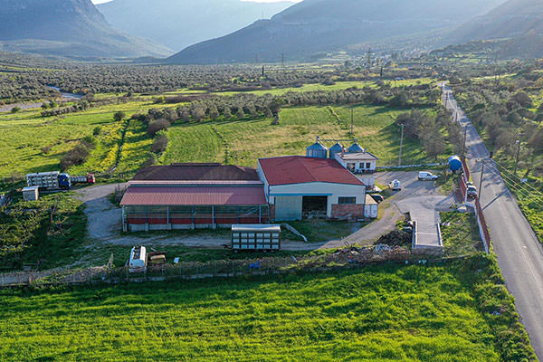 Denezis Meat - Panoramic view of the private barn facilities and the pasture of the company in Lyrkeia, Argos